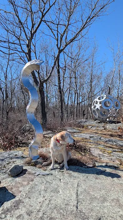 Sculpture Loop Trail Picture 2