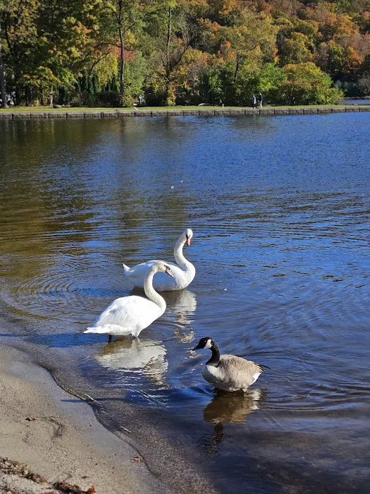Thomas P. Morahan Waterfront Park Picture 9