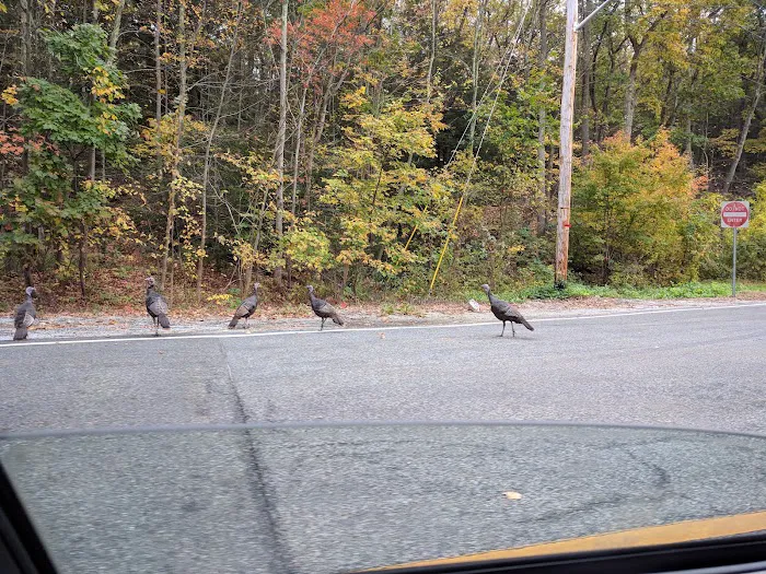 Greenwood Lake Picture 1
