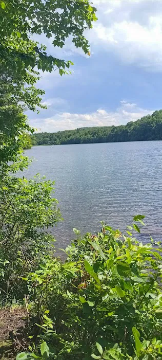 Green Turtle Lake - Ringwood State Park Picture 1