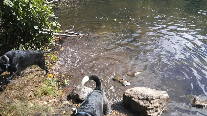 Green Turtle Lake - Ringwood State Park Picture 3