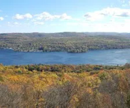 Cooley Brook Property