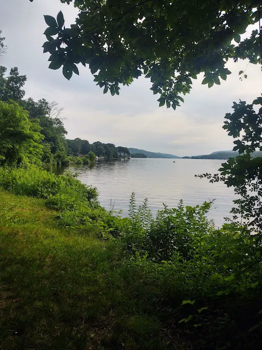 Browns Point Park Picture 2