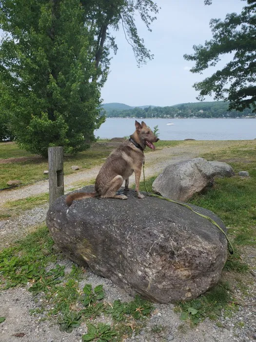 Browns Point Park Picture 8