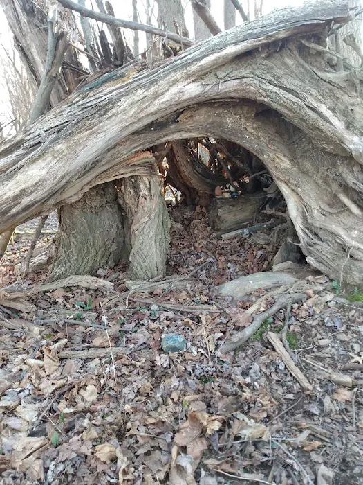 Browns Point Park Picture 4
