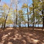 Browns Point Park