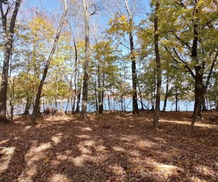 Browns Point Park