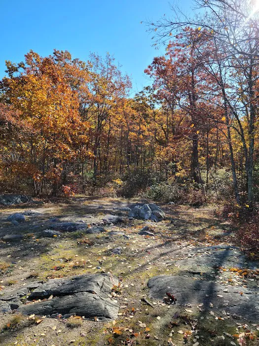 Abram S. Hewitt State Forest. (Surprise lake loop) Picture 9