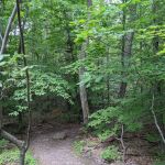 Abram S. Hewitt State Forest. (Surprise lake loop)