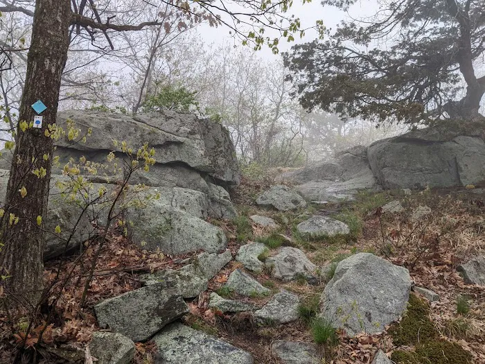 Sterling Ridge Trailhead Picture 10
