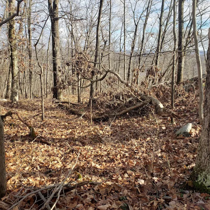 Sterling Ridge Trailhead Picture 8