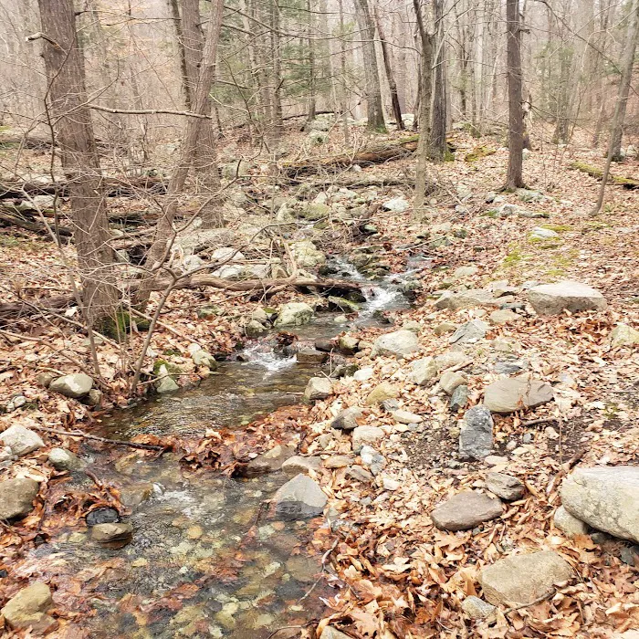 Sterling Ridge Trailhead Picture 6