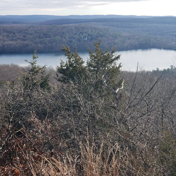 Sterling Ridge Trailhead Picture 9