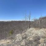 Horn Hill Mountain Bike Trail