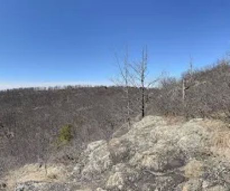 Horn Hill Mountain Bike Trail