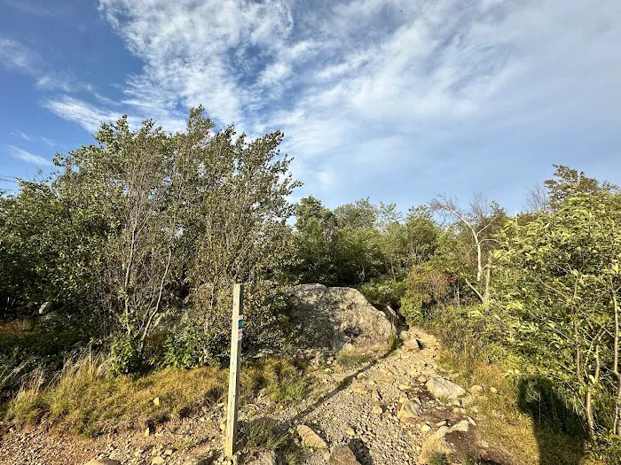 Timp-Torne/AT Trails Junction Lookout (near border of Harriman and Bear Mountain State Parks) Picture 7