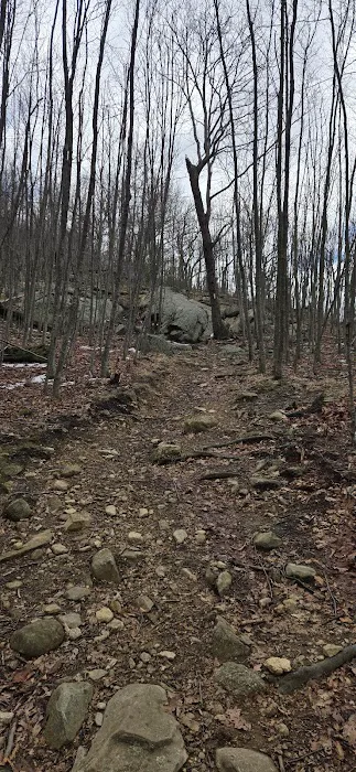 Anthony Wayne Loop Trailhead Picture 3