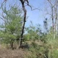 Appalachian Trail - 1777 Trailhead ico