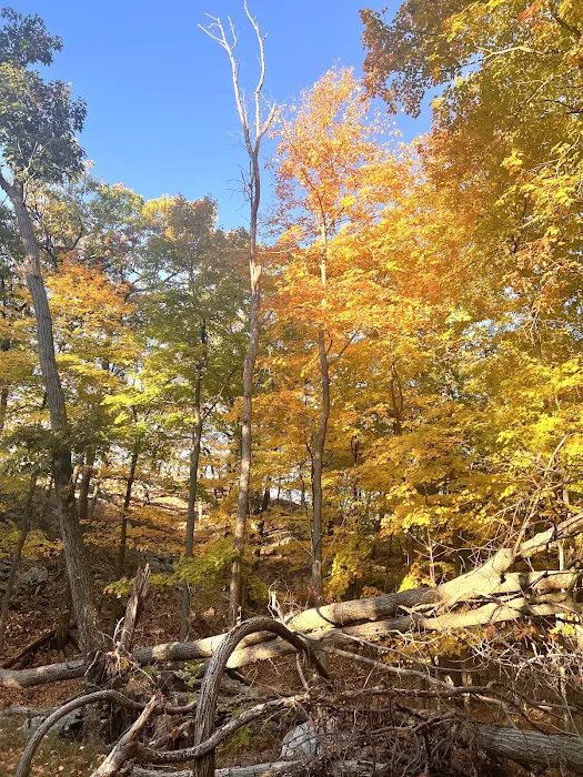 Appalachian Trail Picture 7