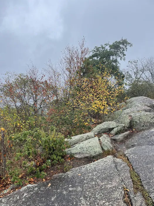 Appalachian Trail Picture 4