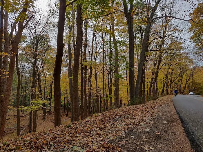 Appalachian Trail Picture 10