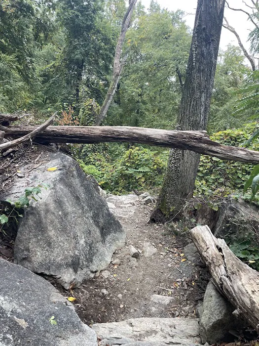 Appalachian Trail Picture 6