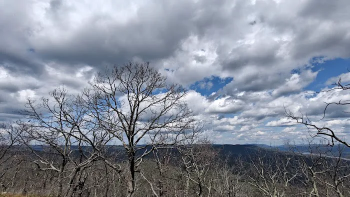 Appalachian Trail Picture 1