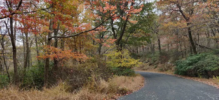 Appalachian Trail Picture 5