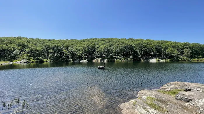 Turkey Hill Pond Picture 6