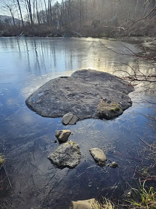 Turkey Hill Pond Picture 5