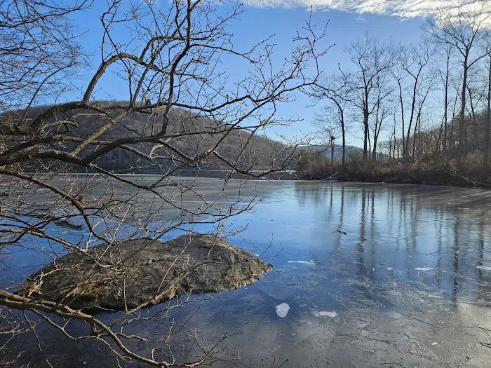 Turkey Hill Pond Picture 3