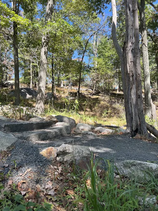 Appalachian Trail Genesis Picture 5