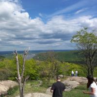 Bear Mountain ico