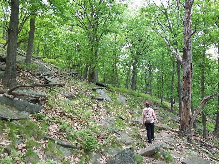 Bear Mountain Picture 2