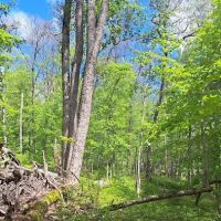 Anthony Wayne Trail tailhead ico
