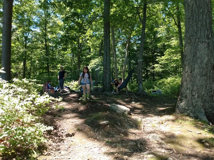 Long Mountain Long Path Trail Head Picture 2