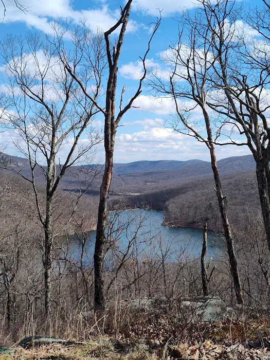 Lookout point Picture 7