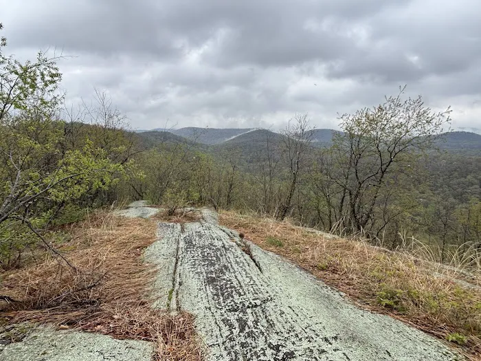 Lookout point Picture 3