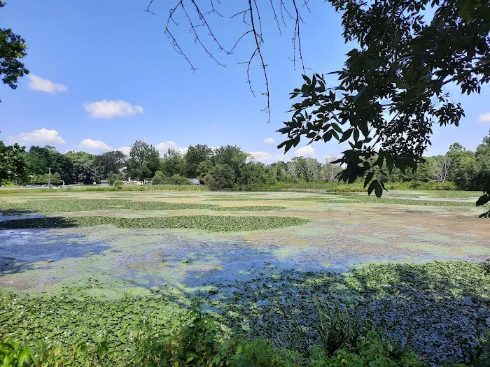 Mary Harriman Park Picture 4
