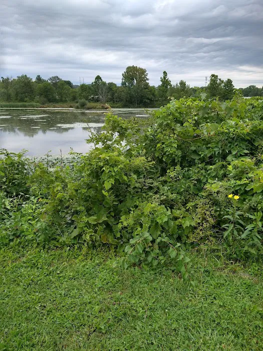 Harriman Parks & Recreation Picture 2