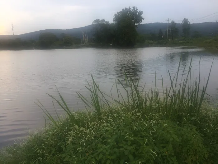 Harriman Parks & Recreation Picture 10