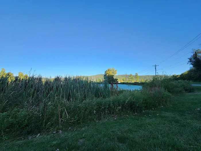 Harriman Parks & Recreation Picture 6