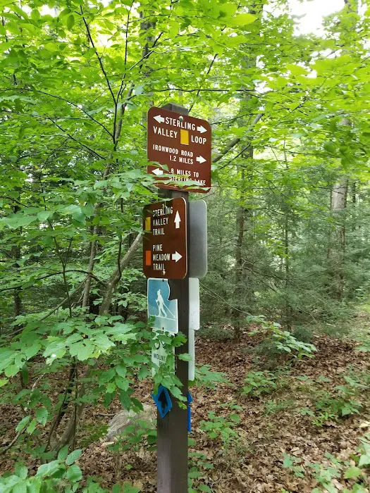 Sterling Forest Corporation Picture 8