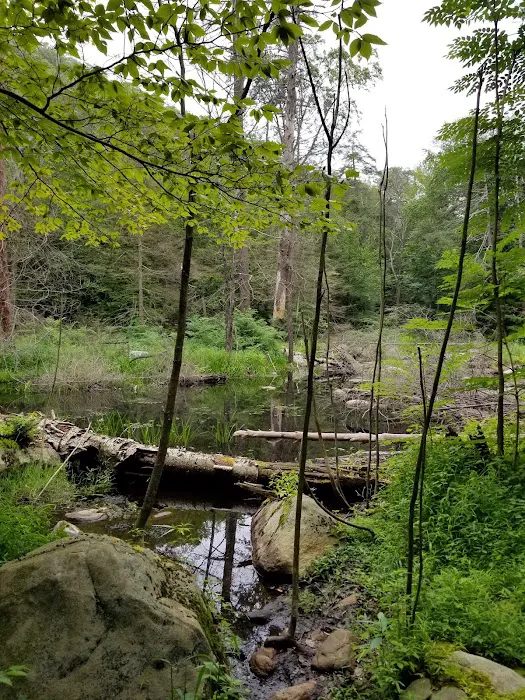 Sterling Forest Corporation Picture 6