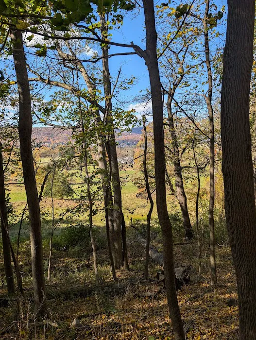 Castle Rock Unique Area Picture 2