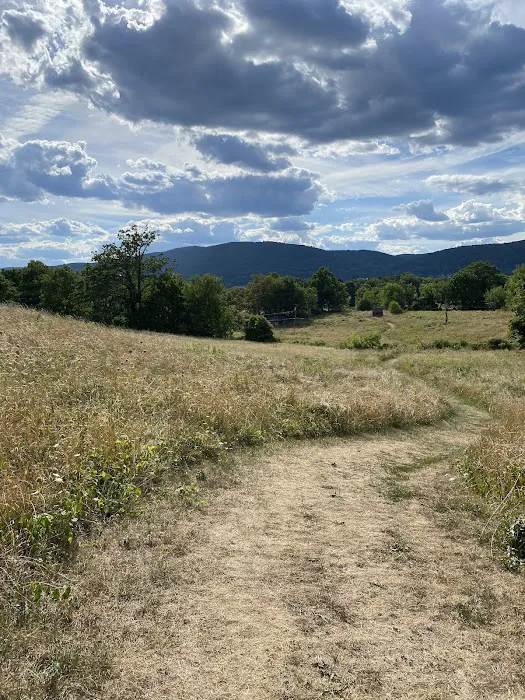 Castle Rock Unique Area Picture 6
