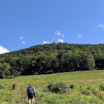 Castle Rock Unique Area