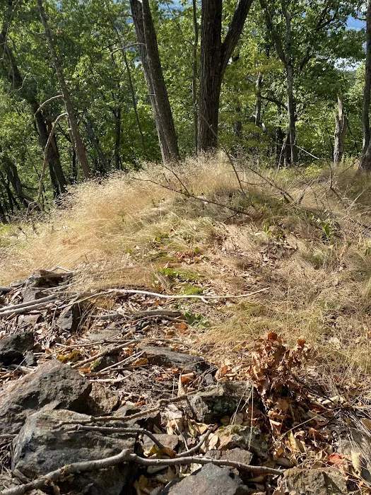 Castle Rock Unique Area Picture 8