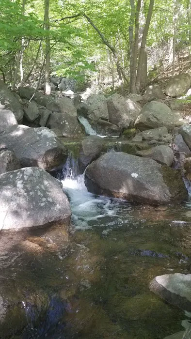 Castle Rock Park Picture 4