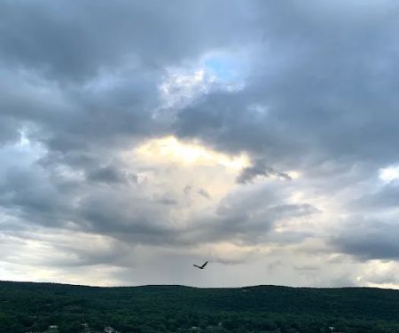 Overlook on Hudson Bed & Breakfast